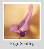 Ergo Chair